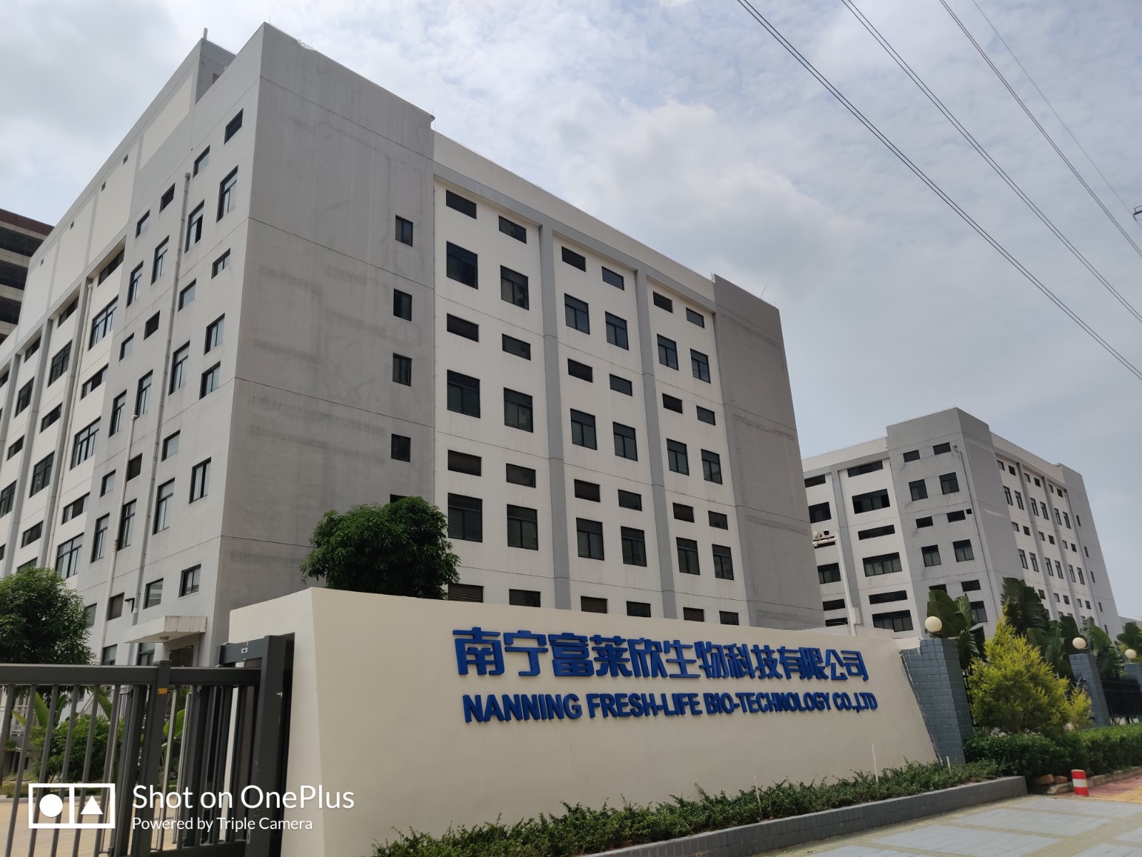 1628819519497717.jpg 1628819519497717.jpg